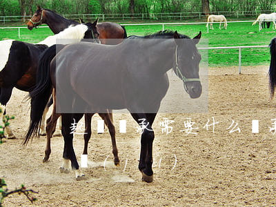 起訴繼承需要什么(繼承人提起訴訟的法律依據(jù))