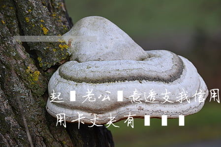 起訴老公惡意透支我信用卡(妻子惡意透支信用卡,丈夫有連帶嗎?)