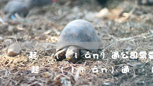 起訴聯(lián)通公司需要多少錢(怎樣起訴聯(lián)通營業(yè)廳)