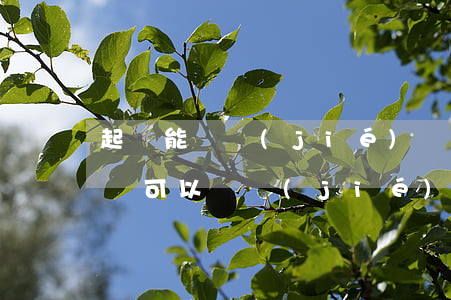 起訴能凍結(jié)對方微信吧-民事訴訟可以凍結(jié)被告人微信里的錢嗎