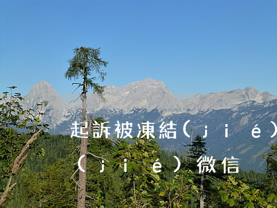 起訴被凍結(jié)微信-法院起訴凍結(jié)微信