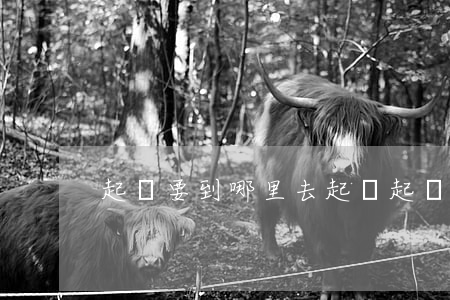 起訴要到哪里去起訴(起訴一般在哪里起訴)
