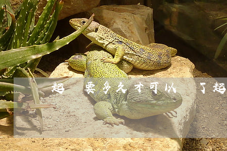 起訴要多久才可以離了(起訴多久才能離婚)