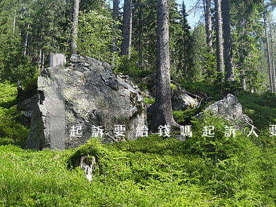 起訴要給錢嗎(起訴人要錢嗎)
