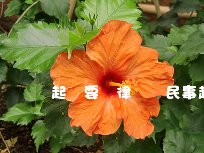 起訴要請律師嗎(民事起訴要請律師嗎)