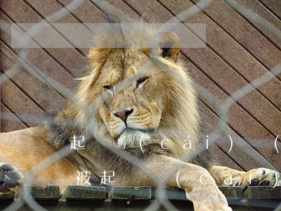 起訴財(cái)產(chǎn)保全逾期 被起訴 財(cái)產(chǎn)保全