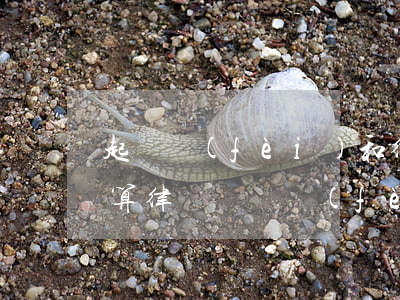 起訴費(fèi)和律師費(fèi)怎么算?(律師訴訟費(fèi)怎么算)