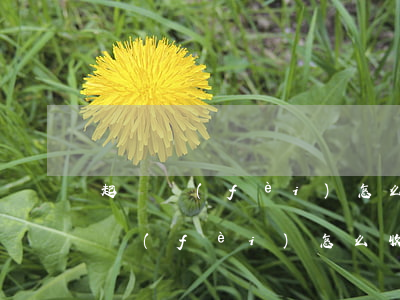 起訴費(fèi)怎么收費(fèi)(起訴費(fèi)怎么收費(fèi))