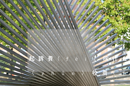 起訴費(fèi)按什么標(biāo)準(zhǔn)收費(fèi)(一般起訴費(fèi)的標(biāo)準(zhǔn)是多少)