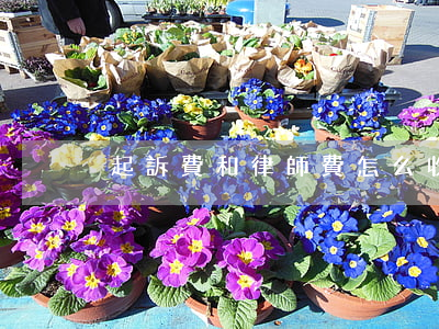 起訴費和律師費怎么收