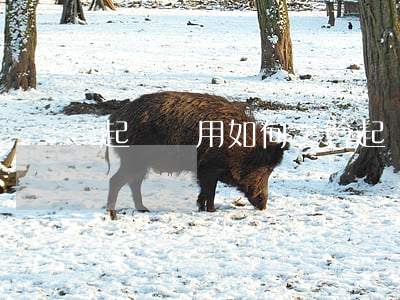起訴費用如何計算(起訴費用如何計算 經濟糾紛)