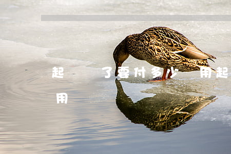 起訴輸了要付多少費用(起訴輸了要付多少費用)