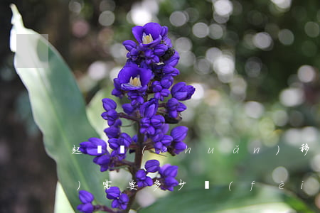 起訴轉(zhuǎn)移支付寶債務(wù)需要多少費(fèi)用-起訴轉(zhuǎn)移支付寶債務(wù)需要多少費(fèi)用呢