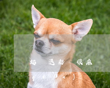 起訴退彩禮很麻煩嗎(起訴退彩禮要多少錢(qián))