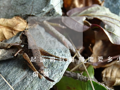 起訴退款逾期需要多少錢 退款逾期能要求賠償嗎