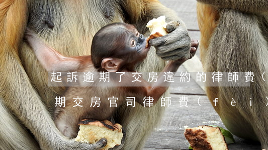起訴逾期了交房違約的律師費(fèi)(逾期交房官司律師費(fèi)用怎么算)