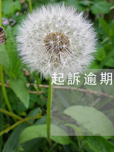 起訴逾期交房違約金起訴狀(違約交房起訴書)