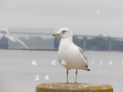 起訴逾期會發(fā)生的事情-逾期起訴后果
