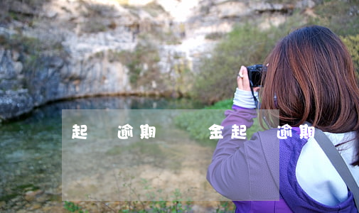 起訴逾期違約金 起訴逾期違約金