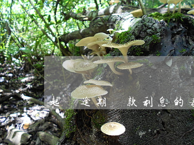 起訴逾期還款利息的表述(判決逾期利息表述)