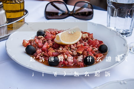 起訴運費需要什么證據(jù)(運費不結(jié)怎么起訴)