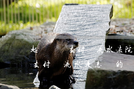 起訴還錢支付寶流水(法院調(diào)查支付寶流水是怎樣的)