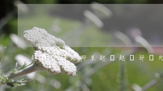 起訴部隊向哪里起訴(起訴部隊向哪里起訴)
