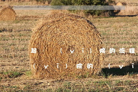 起訴醫(yī)院的流程是什么(怎么起訴醫(yī)院的醫(yī)生)