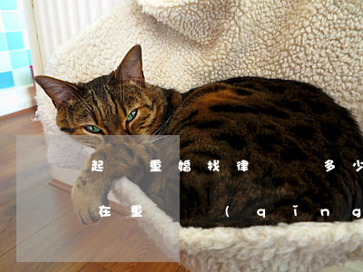 起訴重婚找律師給多少錢(請(qǐng)問在重慶請(qǐng)律師要多少錢)