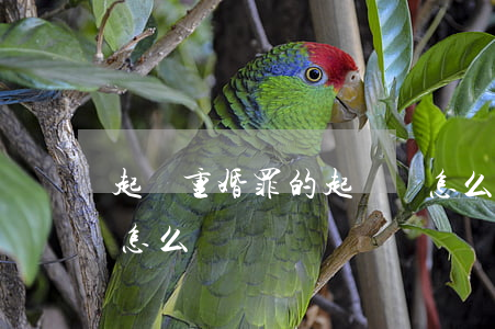 起訴重婚罪的起訴書怎么寫(自訴重婚起訴書怎么寫)