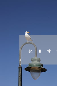 起訴重婚罪都需要什么