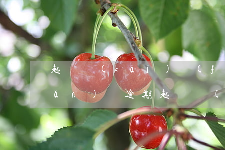 起訴開(kāi)發(fā)商房產(chǎn)證逾期起訴書(shū)(起訴房地產(chǎn)開(kāi)發(fā)商違約起訴書(shū)怎么寫(xiě))