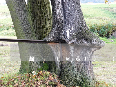 起訴開(kāi)發(fā)商逾期交房多少錢