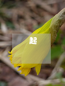 起訴開發(fā)商逾期交房多少錢