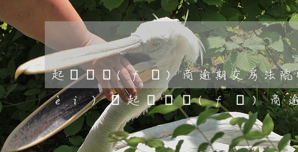 起訴開發(fā)商逾期交房法院收費(fèi)嗎(起訴開發(fā)商逾期交房 法院 不支持)