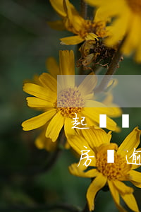 起訴開發(fā)商逾期房租(業(yè)主房貸逾期,銀行起訴開發(fā)商)
