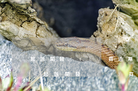 起訴開發(fā)商逾期辦證需要什么材料-起訴開發(fā)商逾期辦證需要什么材料呢