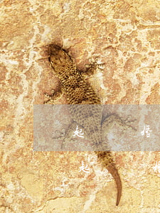 起訴離婚一方不到場(chǎng)怎么辦(起訴離婚一方不在場(chǎng)能辦理離婚嗎)
