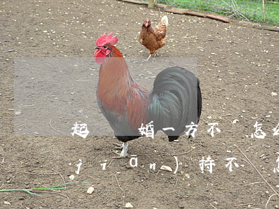 起訴離婚一方不離怎么辦(離婚訴訟一方堅(jiān)持不離怎么辦)