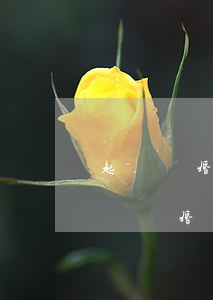 起訴離婚不請(qǐng)律師怎么起訴(起訴離婚可以委托律師嗎可以不去嗎?)