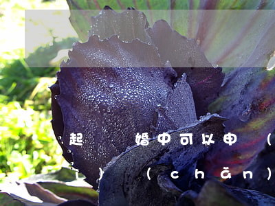 起訴離婚中可以申請(qǐng)財(cái)產(chǎn)調(diào)查嗎(起訴離婚可以要求法院調(diào)查夫妻共同財(cái)產(chǎn)嗎)