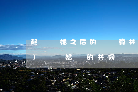 起訴離婚之后的債務算共同財產(chǎn)嗎(離婚時的共同財產(chǎn)與個人債務)