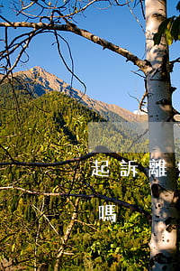 起訴離婚二審能判離嗎(起訴離婚二審能判離嗎)