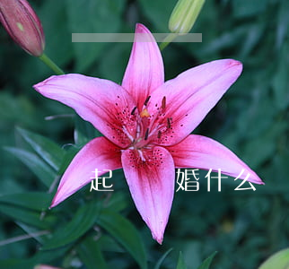 起訴離婚什么時(shí)候開庭