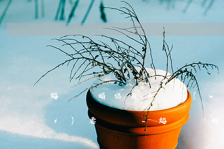 起訴離婚信用卡債務(wù)多久內(nèi)要償還-起訴離婚信用卡債務(wù)多久內(nèi)要償還利息