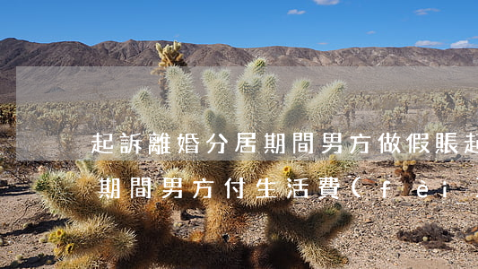 起訴離婚分居期間男方做假賬(起訴離婚分居期間,男方付生活費(fèi)嗎)