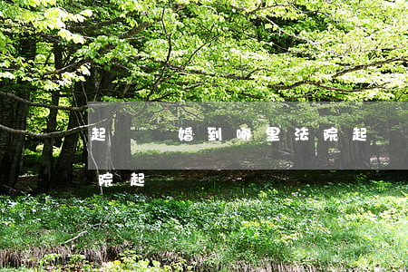 起訴離婚到哪里法院起訴(起訴離婚到哪里法院起訴)