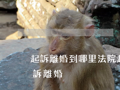 起訴離婚到哪里法院起訴(離婚去哪個法院起訴離婚)