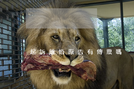起訴離婚原告有傳票嗎