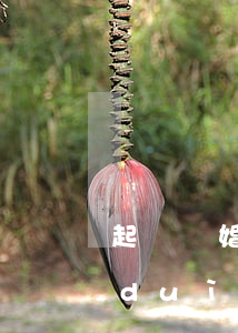 起訴離婚另一方不出庭怎么辦(離婚起訴對(duì)方不出庭怎么辦)